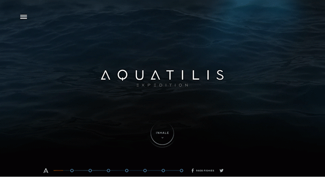 Ohne CMS viel Bewegung in der statischen Webseite von Aquatilis-tv